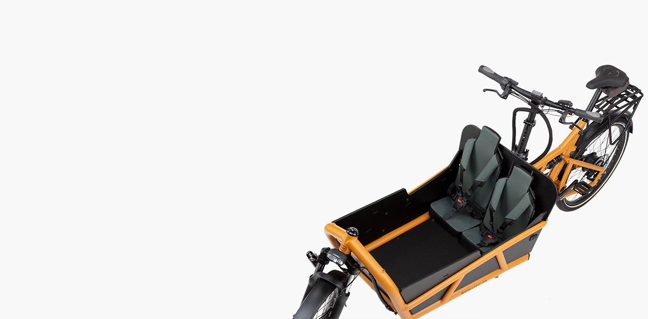 Riese Muller Load4 75 2025 Model CICLO EBIKES